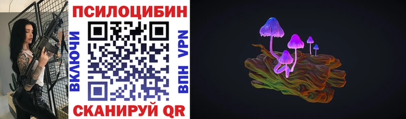 Псилоцибиновые грибы Psilocybine cubensis  Купить  Очёр 